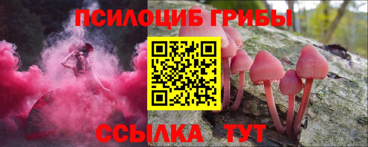 Рассказово  Галлюциногенные грибы Cubensis  Вход с VPN  Псилоцибиновые грибы Magic Shrooms 